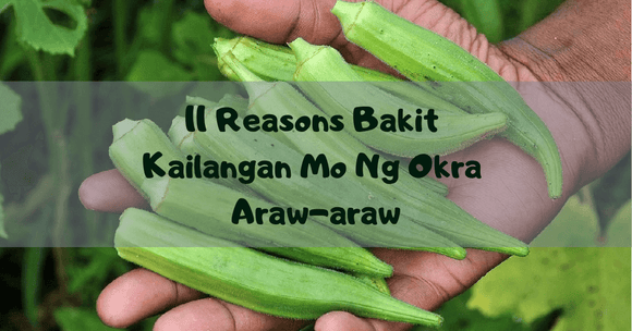 11  Reasons Bakit Kailangan Mo Ng Okra Araw-araw